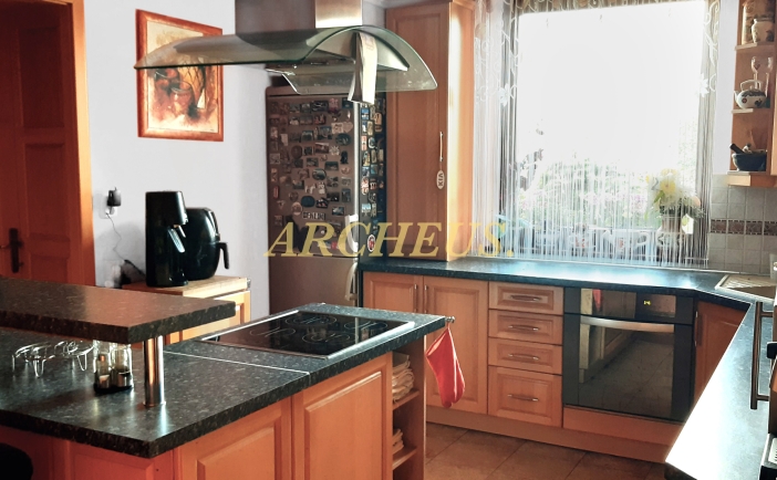 NA PREDAJ NADŠTANDARDNÝ 7- IZBOVÝ DOM, UDAVSKÉ