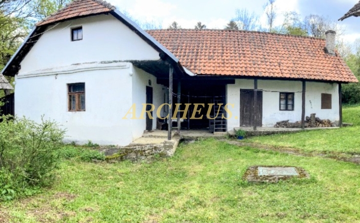 VIDIECKY DOM NA POLOSAMOTE, BUKOVEC, okres MYJAVA