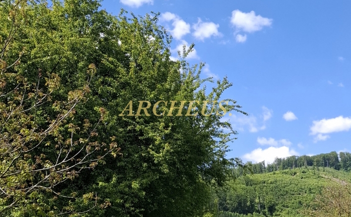 Vidiecky dom s pozemkom 1600 m² ,18 km od Humenného