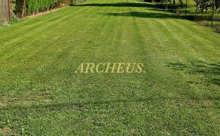 Rovinatý pozemok pre rodinný dom, 770m2, Kochanovce, Humenné