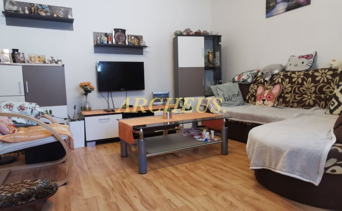 REKONŠTRUOVANÝ 3-IZBOVÝ ROD.DOM SO ZÁHRADOU, ZEMPL.TEPLICA
