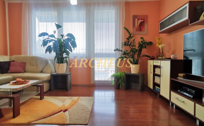 VEĽKÝ 4-IZB.BYT PO REKONŠTRUKCII, TREBIŠOV CENTRUM, 92 m2