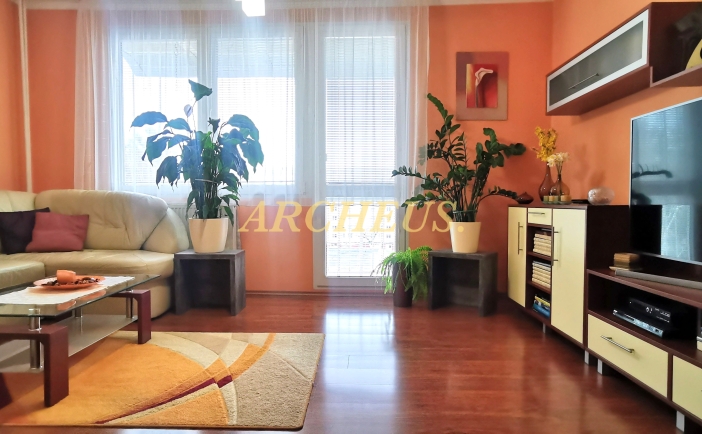VEĽKÝ 4-IZB.BYT PO REKONŠTRUKCII, TREBIŠOV CENTRUM, 92 m2