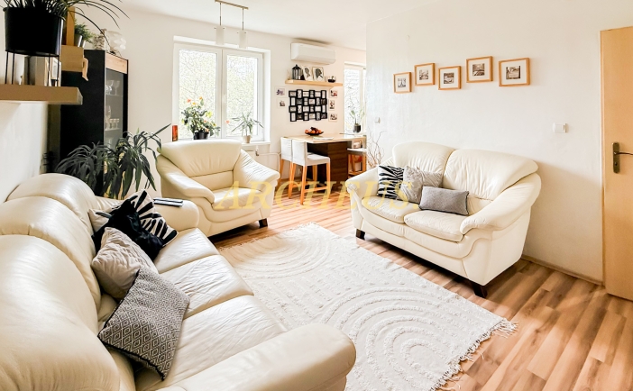 3 IZBOVÝ BYT S BALKÓNOM, 65 M2, HAVIARSKA UL, KOŠICE 1