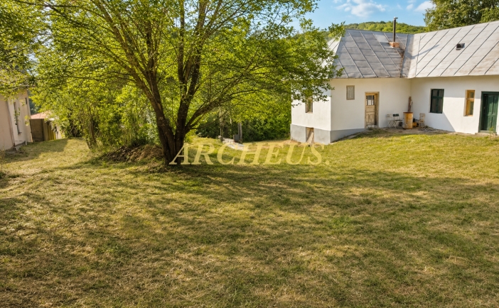 RODINNÝ DOM S ATMOSFÉROU VIDIEKA NA POZEMKU 2 602 M²|REPEJOV